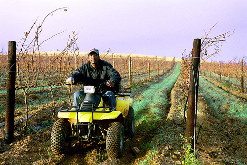 foter-farmworker