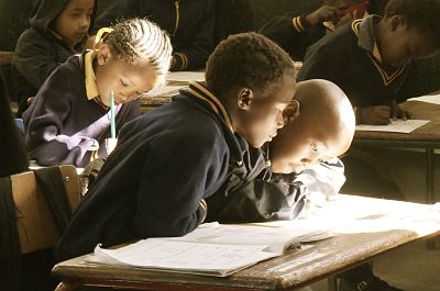 learners opt